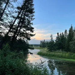 Humber River Trail - Corner Brook