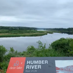 Humber River Trail - Corner Brook
