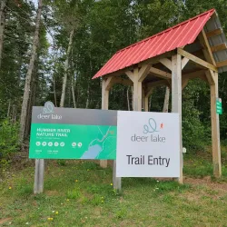 Humber River Trail - Corner Brook