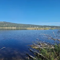 Elizabeth Lake Park - Cranbrook