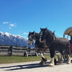Fort Steele Heritage Town - Cranbrook