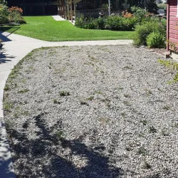 Balkan Heritage Museum - Creston