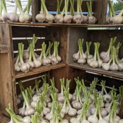 Creston Valley Farmers' Market - Creston