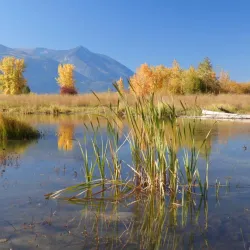 Creston Valley Wildlife Management Area - Creston