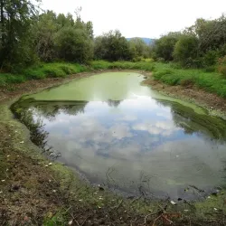 Creston Valley Wildlife Management Area - Creston