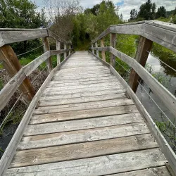 Creston Valley Wildlife Management Area - Creston