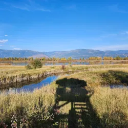 Creston Valley Wildlife Management Area - Creston