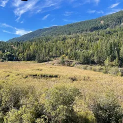 Creston Valley Wildlife Management Area - Creston