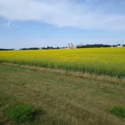 Duck Lake Regional Park - Creston