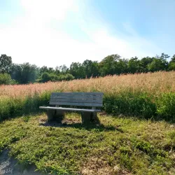 Cole Harbour Heritage Park - Dartmouth