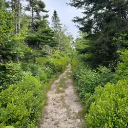 Cole Harbour Heritage Park - Dartmouth