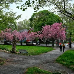 Dartmouth Commons - Dartmouth