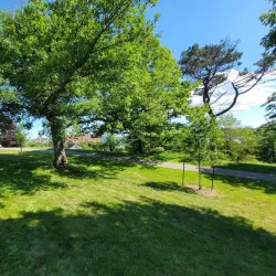 Dartmouth Commons - Dartmouth