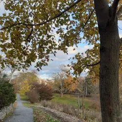 Dartmouth Commons - Dartmouth