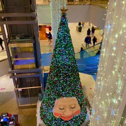 Mic Mac Mall - Dartmouth