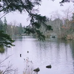 Shubenacadie Canal - Dartmouth