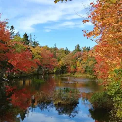 Shubie Park - Dartmouth