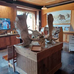 Yukon Visitor Information Centre - Dawson City