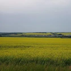 Bear Flats Park - Dawson Creek