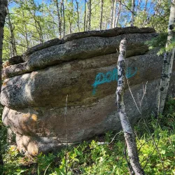 Bear Mountain Wind Park - Dawson Creek