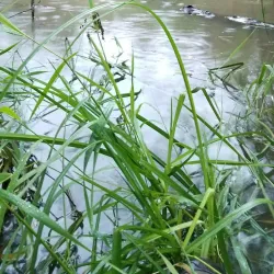 Dawson Creek Trail System - Dawson Creek