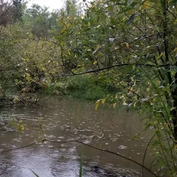 Dawson Creek Trail System - Dawson Creek