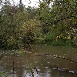 Dawson Creek Trail System - Dawson Creek
