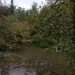 Dawson Creek Trail System - Dawson Creek