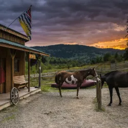 Cassiar Gold Rush Trail - Dease Lake