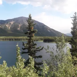 Good Hope Lake - Dease Lake