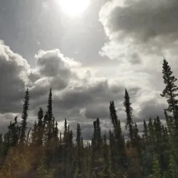 Stikine River Provincial Park - Dease Lake