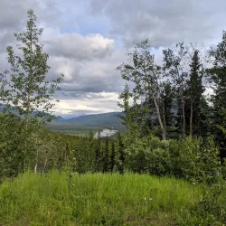 Stikine River Provincial Park - Dease Lake