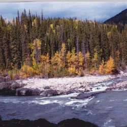 Stikine River Provincial Park - Dease Lake