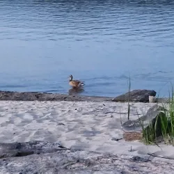 Deep River Trails - Deep River