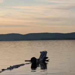 Deep River Trails - Deep River