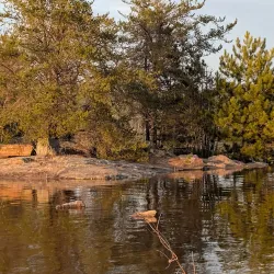 Deep River Trails - Deep River