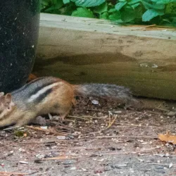 Deep River Waterfront Park - Deep River