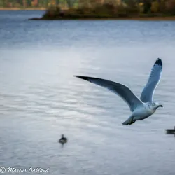 Deep River Waterfront Park - Deep River