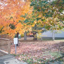 Ottawa River - Deep River