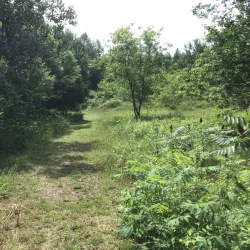 Petawawa River Provincial Park - Deep River