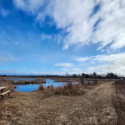Petawawa River Provincial Park - Deep River