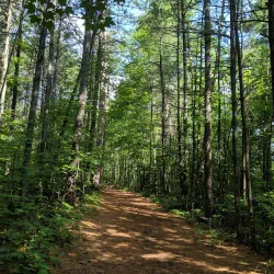 Petawawa River Provincial Park - Deep River