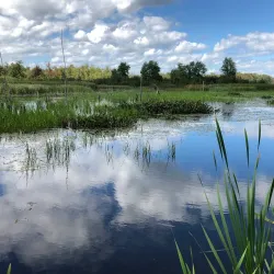 Petawawa River Provincial Park - Deep River