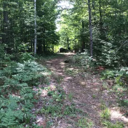 Petawawa River Provincial Park - Deep River