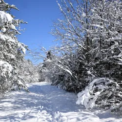Petawawa River Provincial Park - Deep River