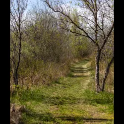 Petawawa River Provincial Park - Deep River