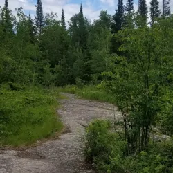 Blueberry Hill Trail - Deer Lake
