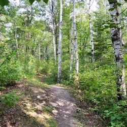 Blueberry Hill Trail - Deer Lake