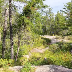 Blueberry Hill Trail - Deer Lake