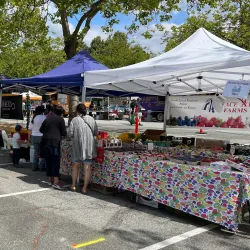 Deer Lake Farmers Market - Deer Lake